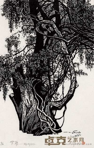 王炜 紫藤 52×41.5cm